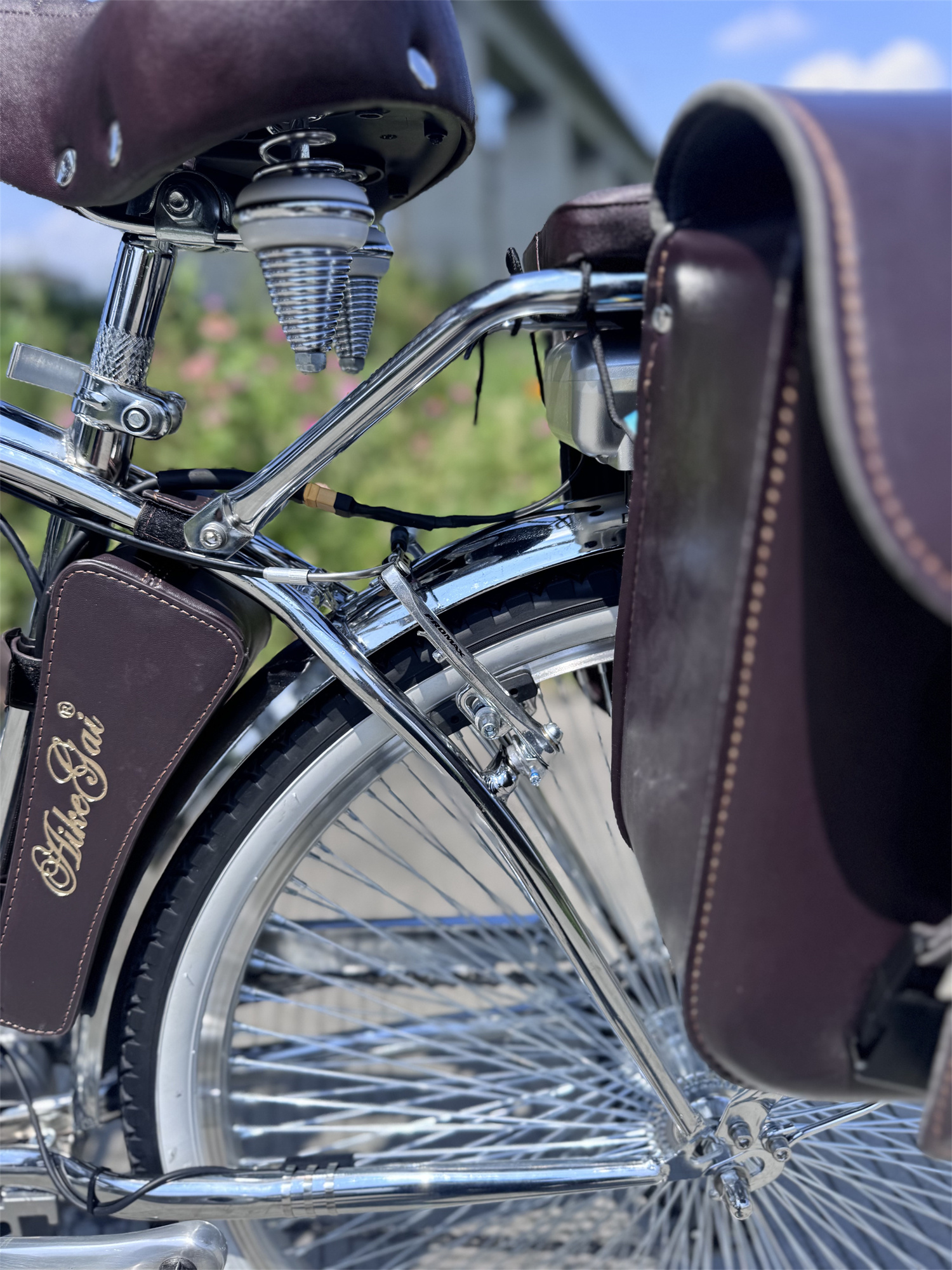 Electric Cruiser Bike